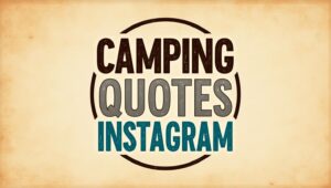 40+ Catchy Camping Quotes Instagram
