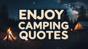 100+ Enjoy Camping Quotes