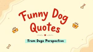 100+ Funny Dog Quotes From Dogs Perspective