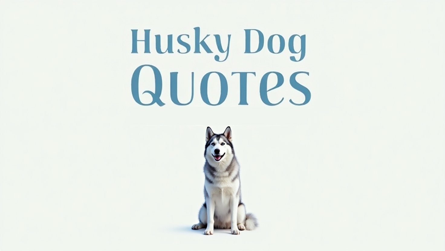 50+ Stunning Husky Dog Quotes