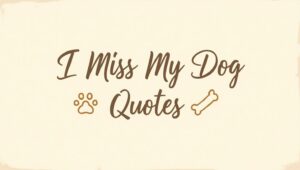 60+ I Miss My Dog Quotes