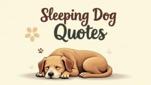 60+ Adorable Sleeping Dog Quotes